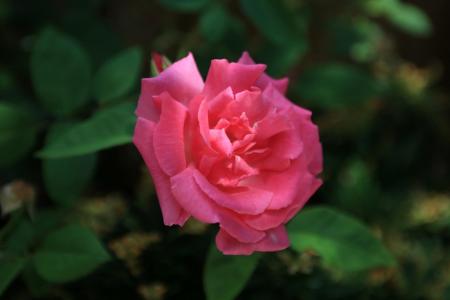 3Y6A8281.jpg