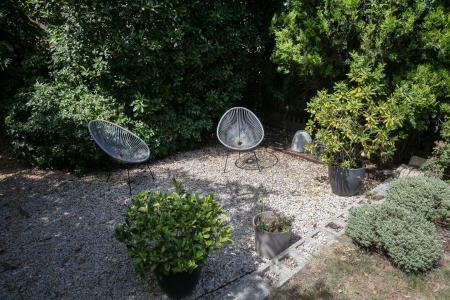 3Y6A2342_1.jpg