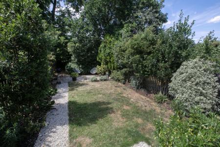 3Y6A2338_1.jpg