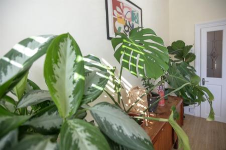 3Y6A7417.jpg