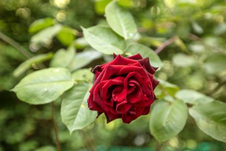 3Y6A5447.jpg