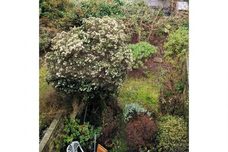 PXL_20260113_111013466 - 2.jpg