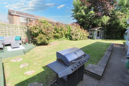 Photo 15