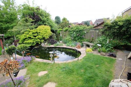Photo 15