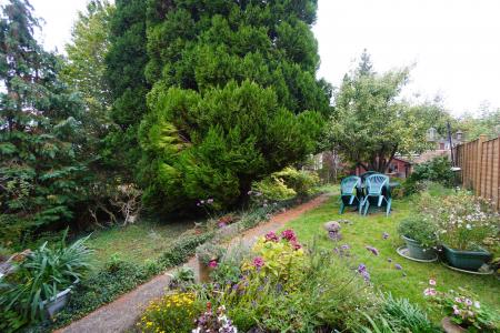 Photo 10