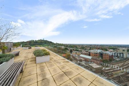 Rooftop Garden: