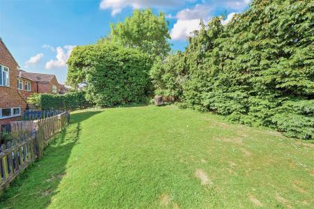 Garden: