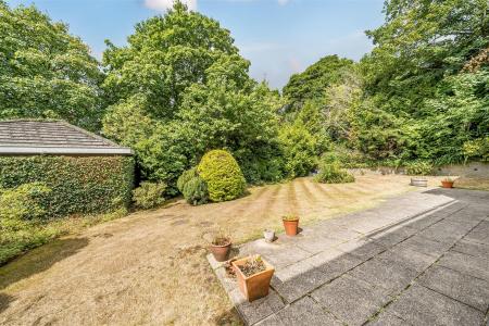 Garden: