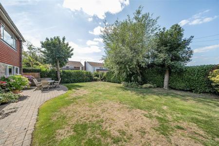 Garden: