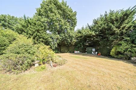 Garden: