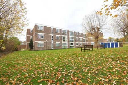 Communal Gardens