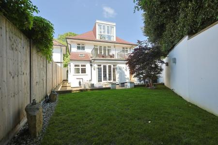 Rear Aspect