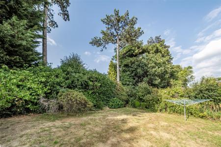 Garden: