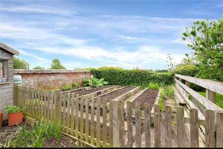 Vegetable Garden