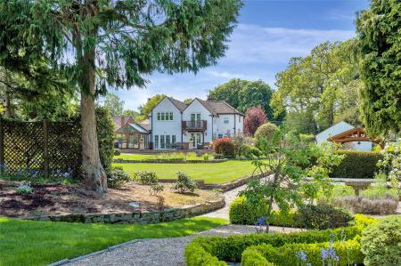 Garden In Summer