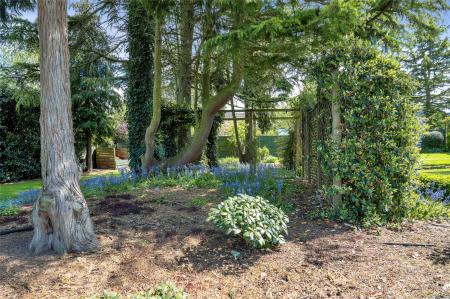 Garden In Summer