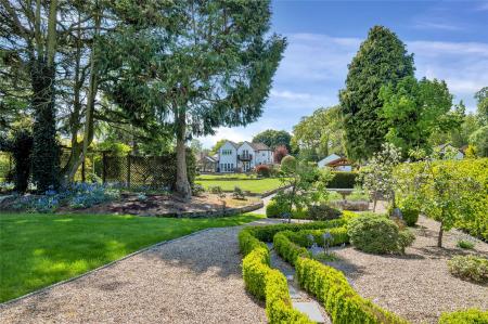 Garden In Summer