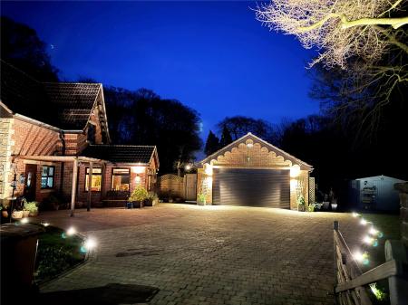 Night Photo