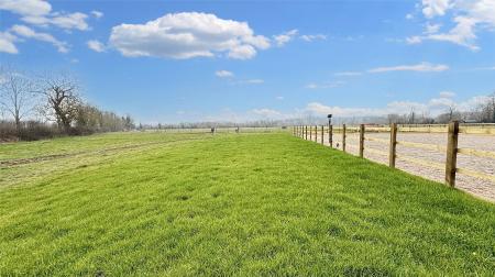 Paddock Land