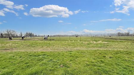 Paddock Land