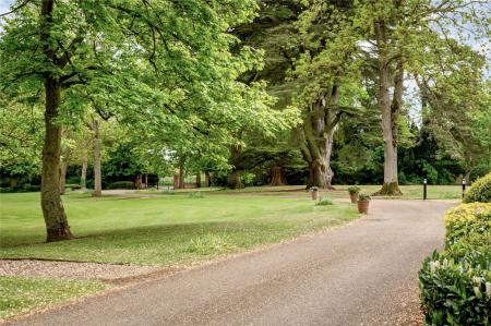 Grounds