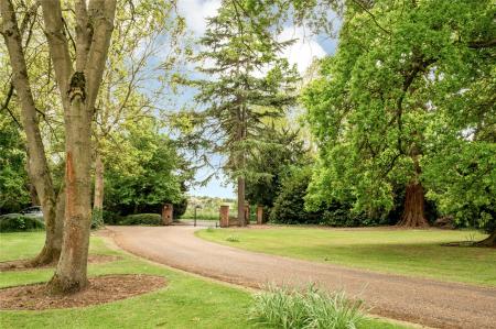 Grounds