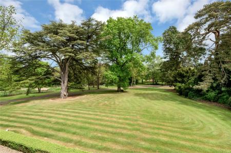 Grounds