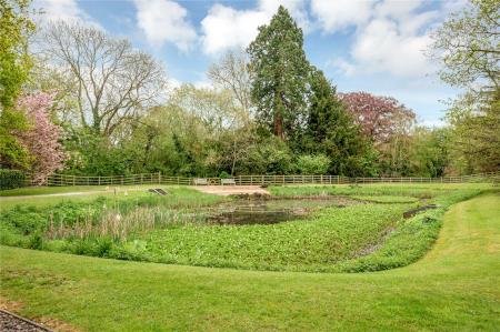 Grounds