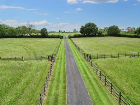 Paddock