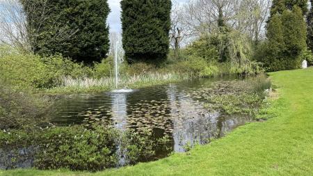 Grounds