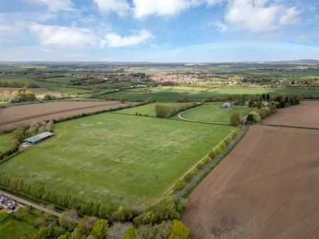 Grounds