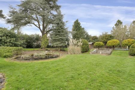 Grounds