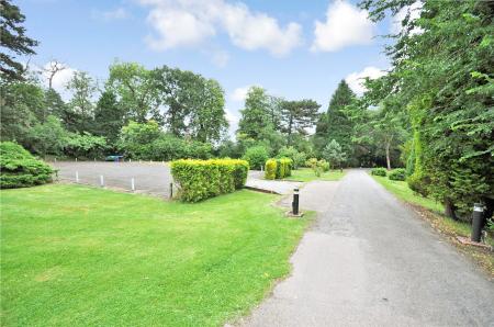 Grounds