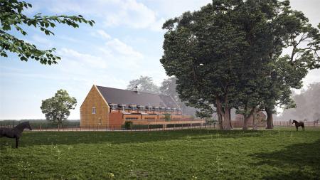 Rear Elevation