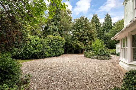 Driveway