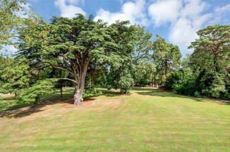 Grounds