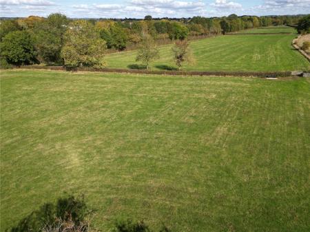 Lot 1