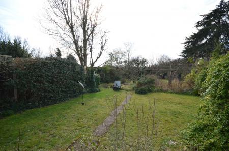 image15