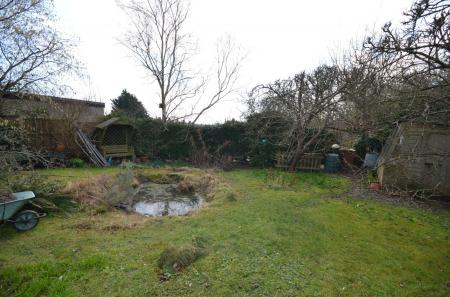 image14