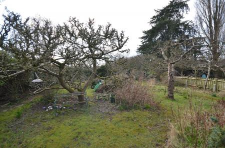 image12