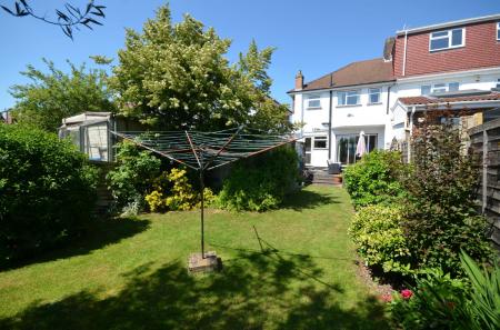 image11
