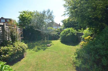 image12