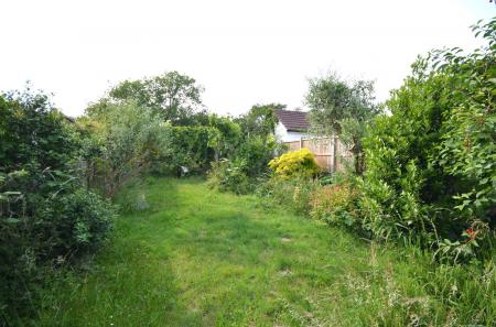 image13