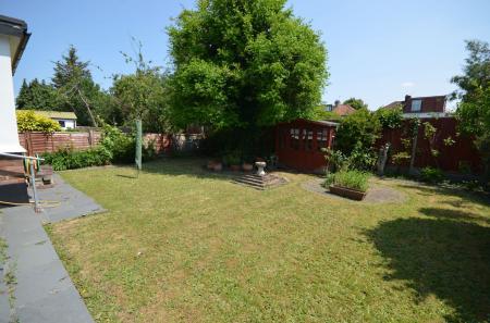 image12