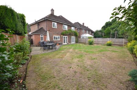 image11