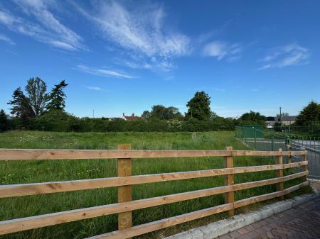View from Driveway