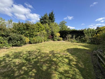 Lawn