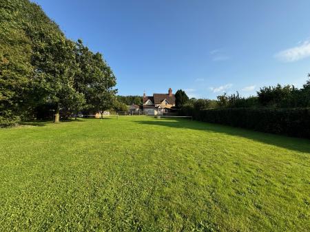 From bottom of rented garden up to house