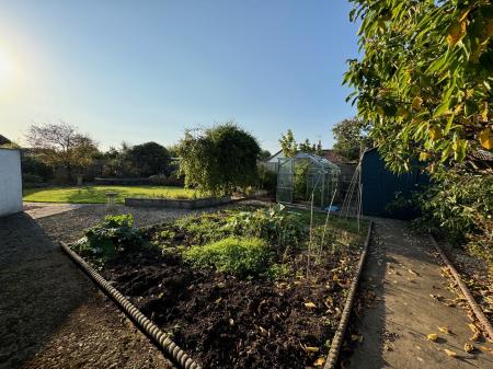 vegetable plot across