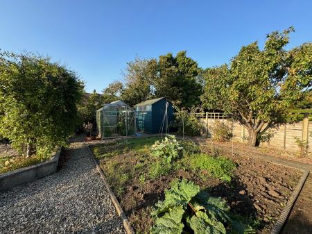 veg plot